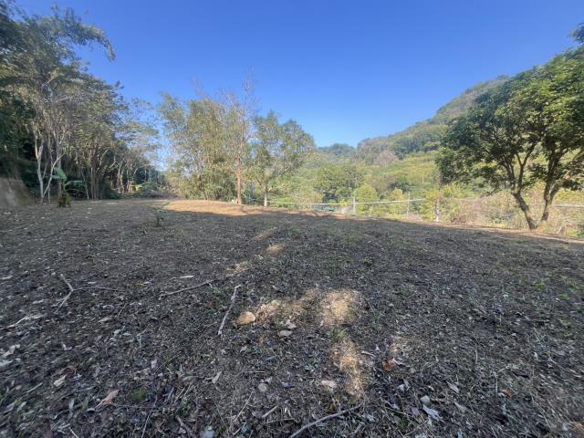 東森房屋大雅中清店都內農保田