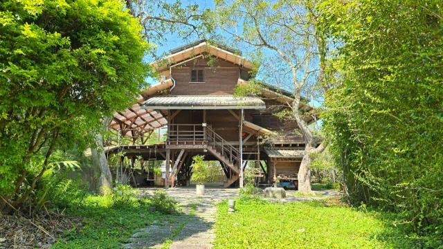 北埔農地-2