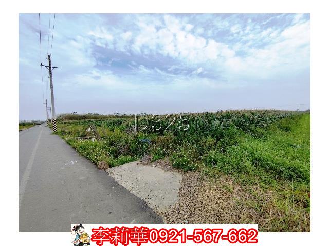 台南農地-6
