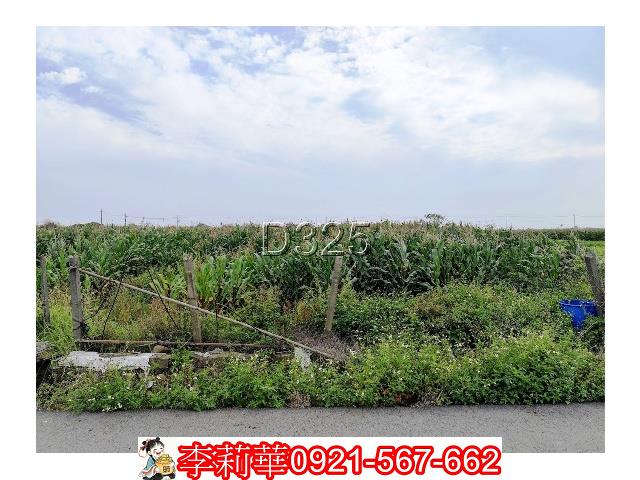 台南農地-8