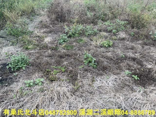 彰化農地-5