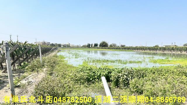 二林農地-3