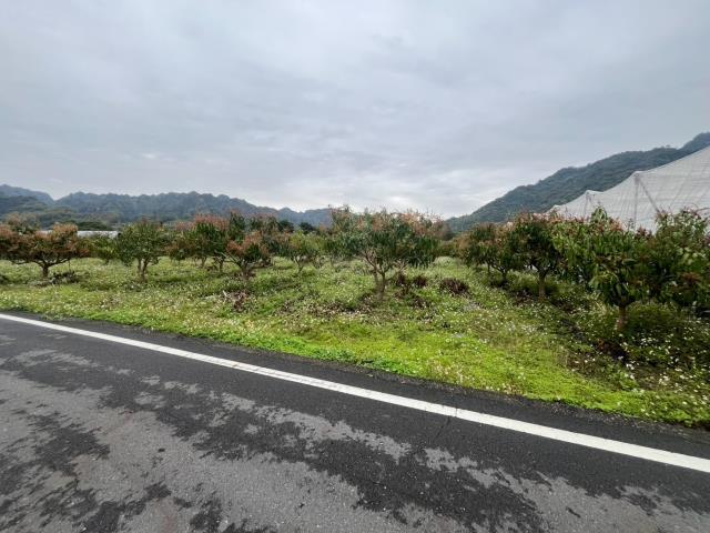 國姓農地-3
