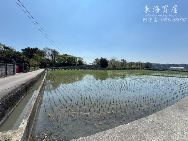 台中農地-11