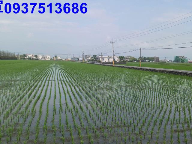 宜蘭壯圍農地-11