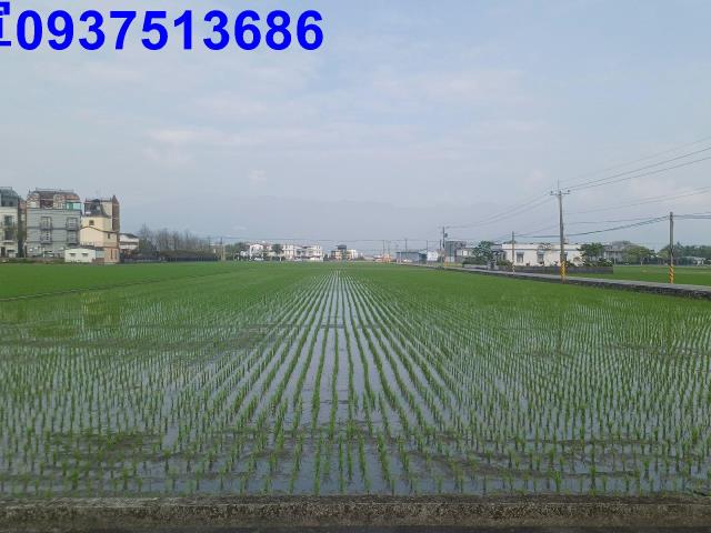 宜蘭壯圍農地-12