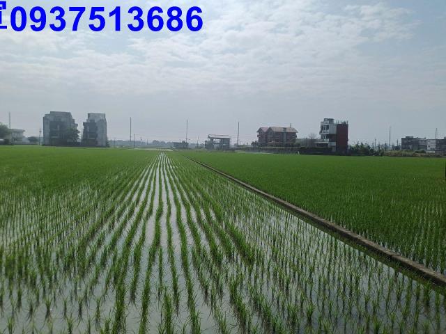 宜蘭壯圍農地-1