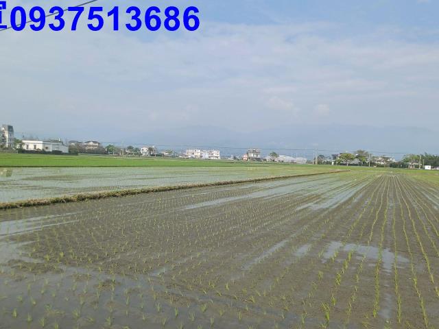 宜蘭壯圍農地-2