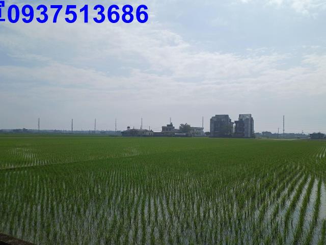 宜蘭壯圍農地-3
