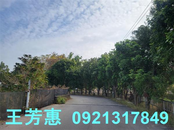 台中農地-4