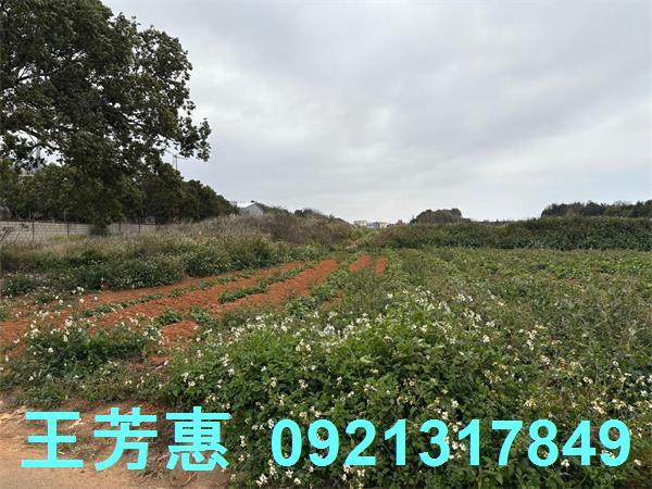 台中農地-2