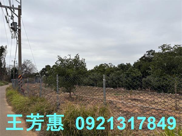 台中農地-5