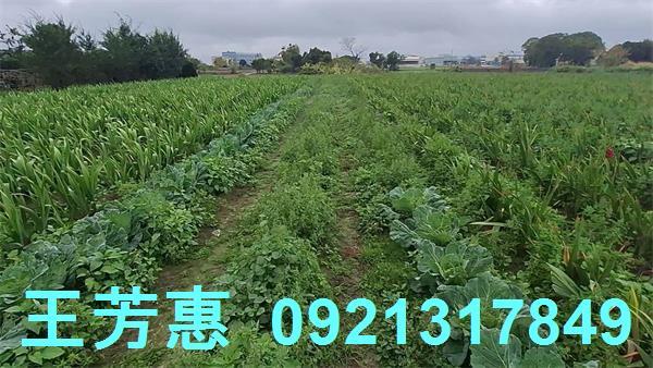 台中農地-2