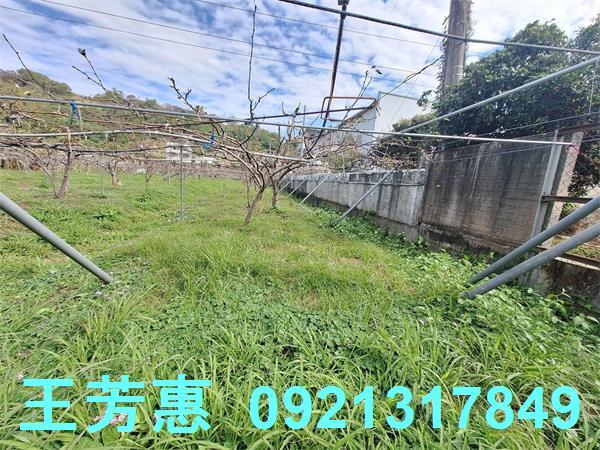 台中農地-7