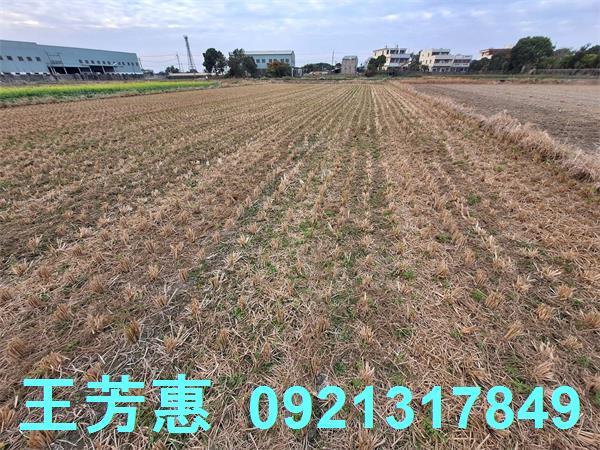 台中后里農地-11