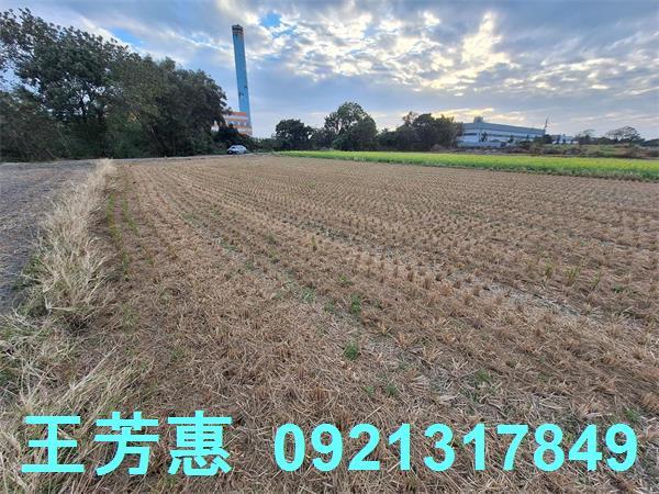 台中后里農地-12