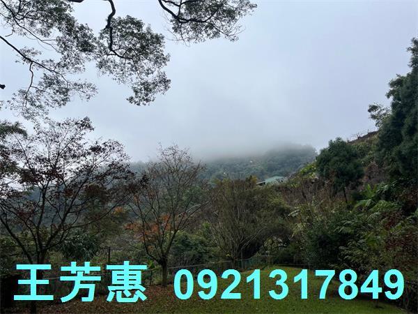 台中東勢農地-11
