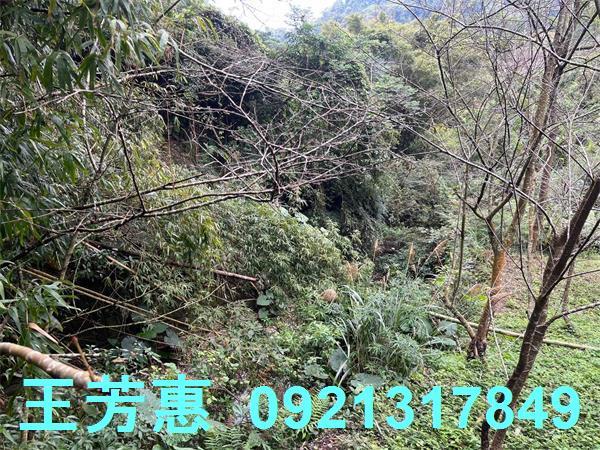 台中東勢農地-5