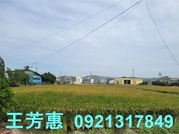 苗栗苑裡農地-6