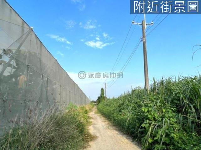 台南山上農地-9