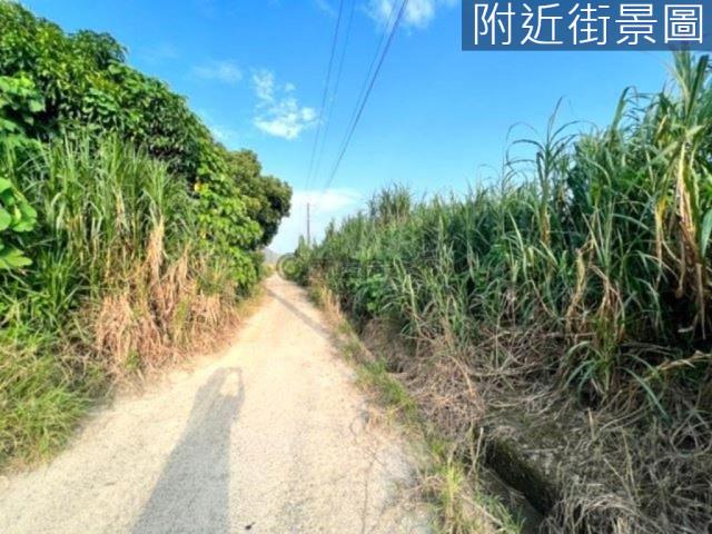 台南山上農地-1