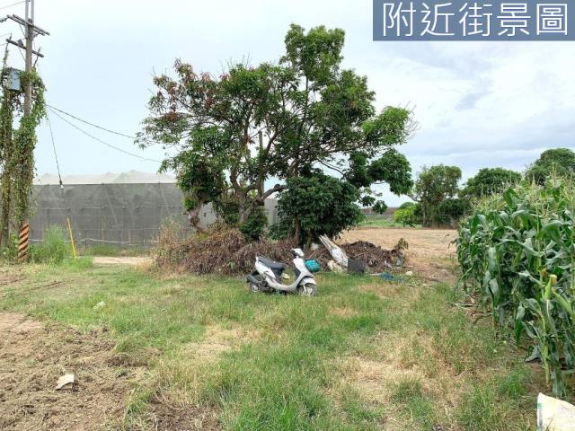 台南山上農地-4