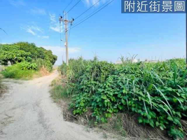 台南山上農地-6