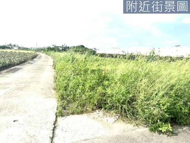 台南山上農地-6