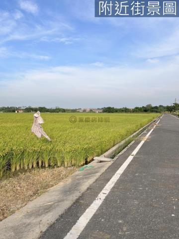台南六甲農地-10