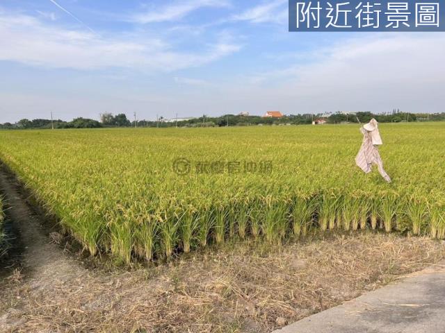 台南六甲農地-11