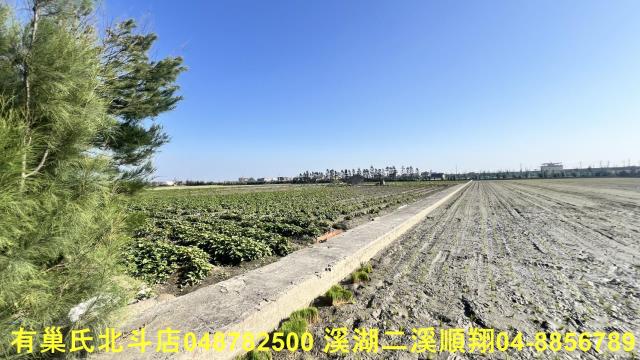大城農地-2