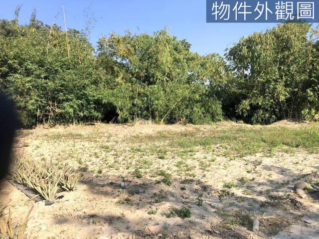 台南農地-2