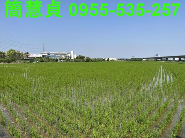 台中農地-4