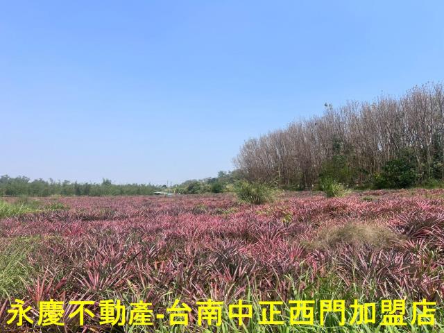 台南關廟農地-0