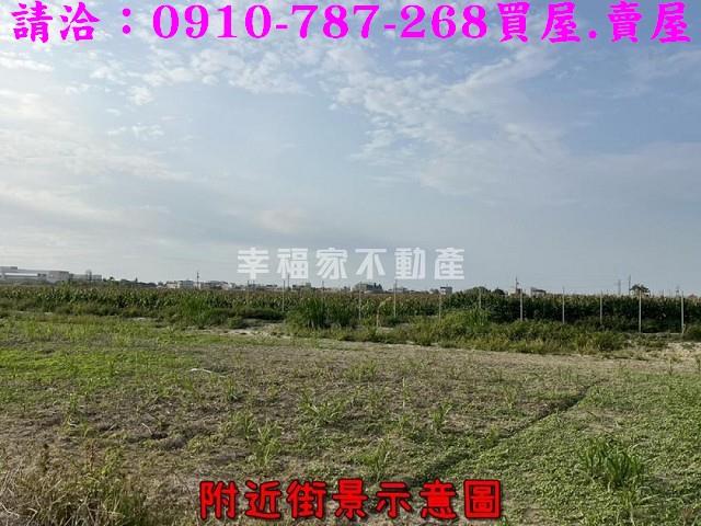 台南佳里農地-9