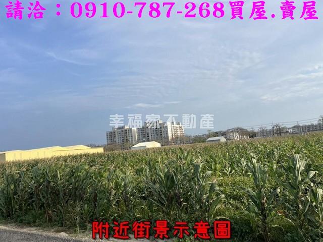 台南佳里農地-10