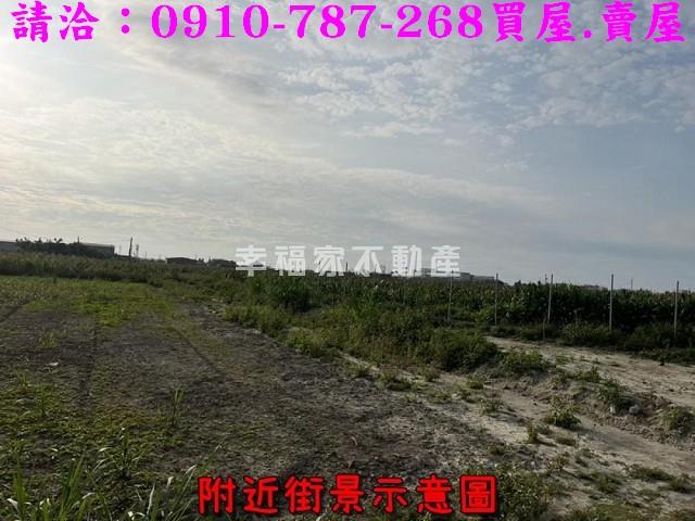 台南佳里農地-13