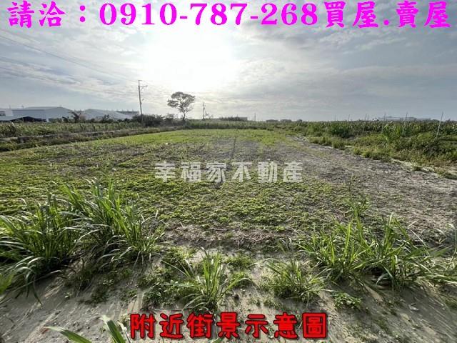 台南佳里農地-8