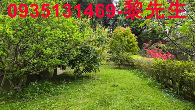 北埔農地-11