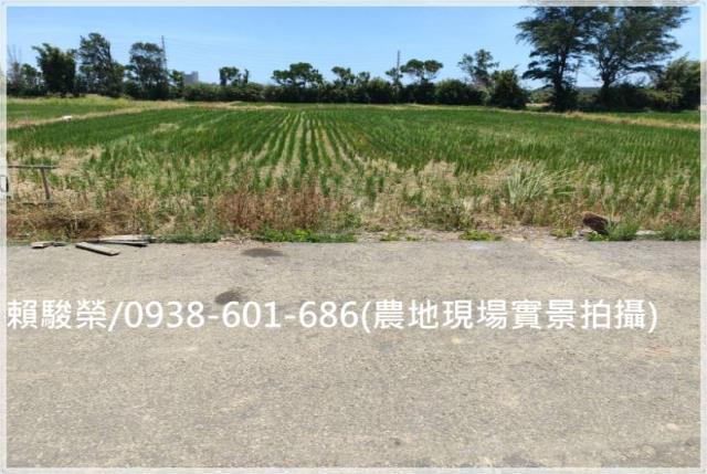 桃園新屋永安國小農地