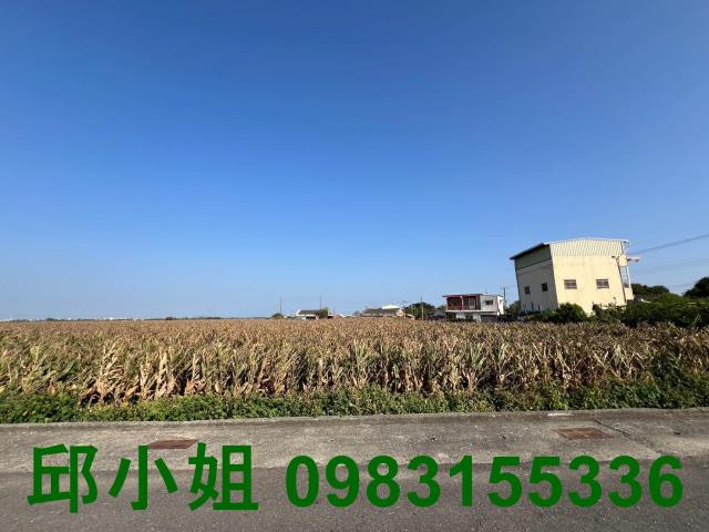 義竹農地-0
