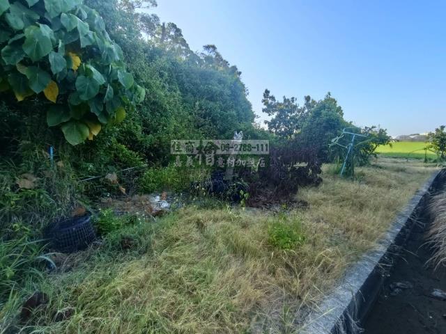 嘉義農地-5