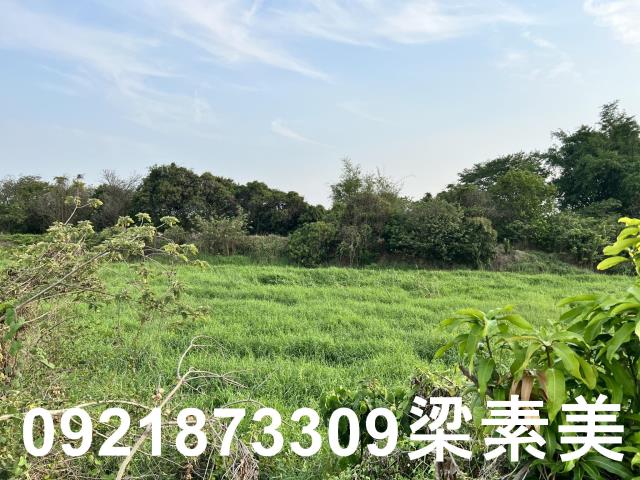柳營農地-0
