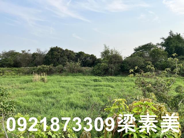 柳營農地-1