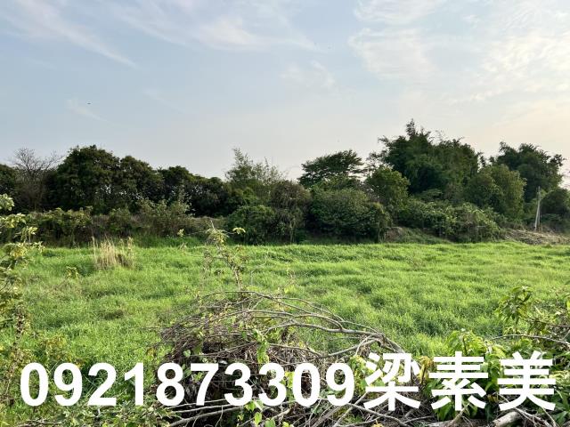 柳營農地-2