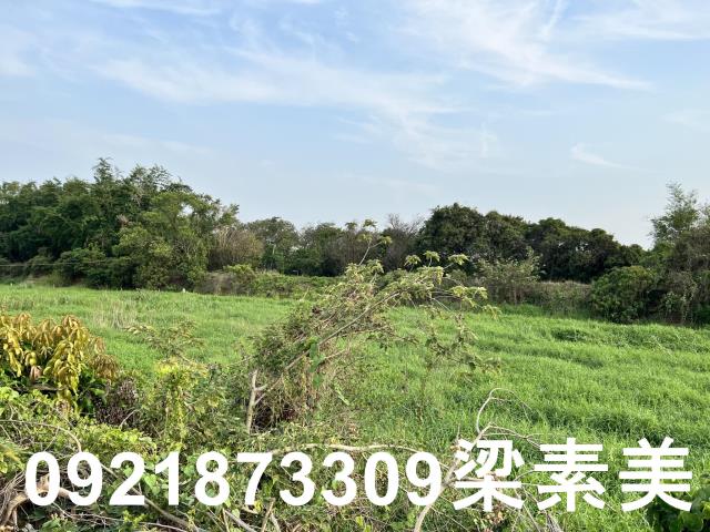 柳營農地-3