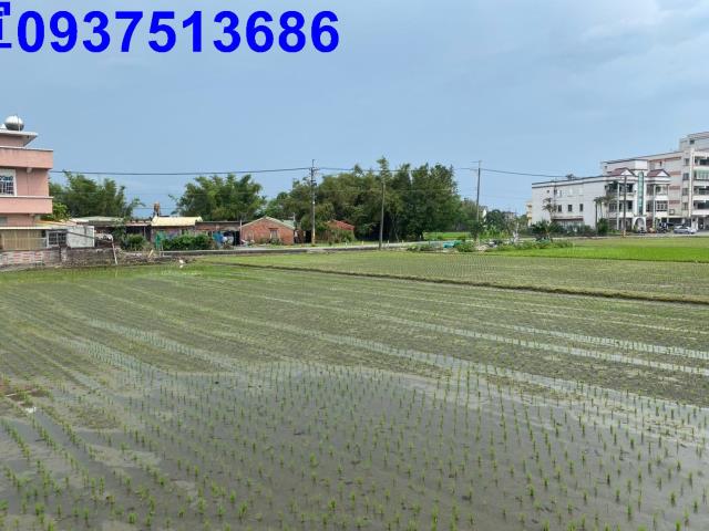 宜蘭市農地-0