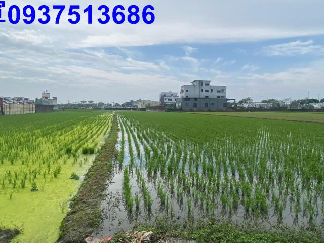 宜蘭市農地-7