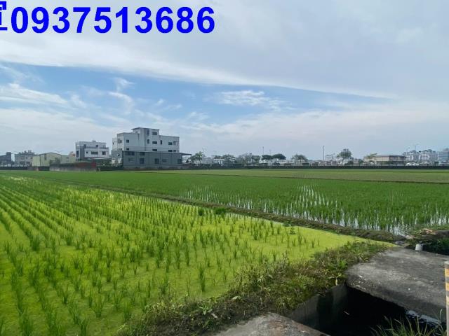 宜蘭市農地-1