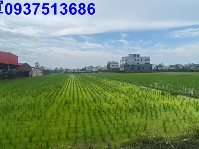 宜蘭市農地-0